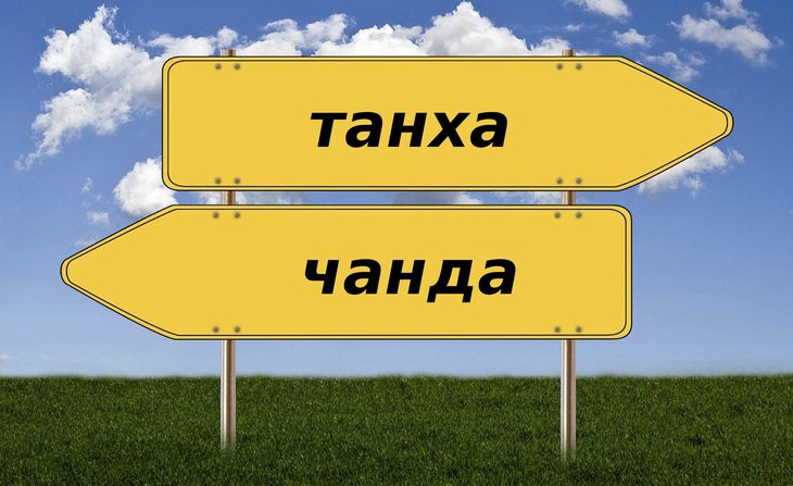 Картинка дили танхо